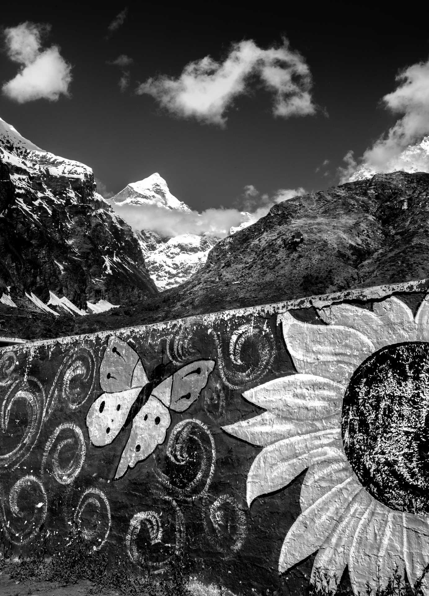 Arpan Dutta Chowdhury: Black, White & In Between 2 Painted butterfly and sunflower mural in foreground with distant snow-capped peak and clouds, black-and-white.