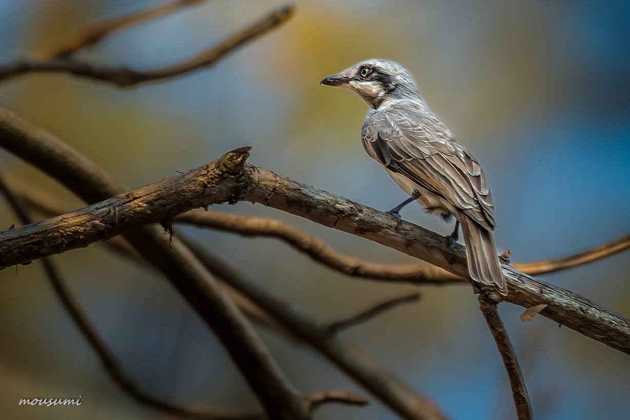 Kuldiha, Odisha