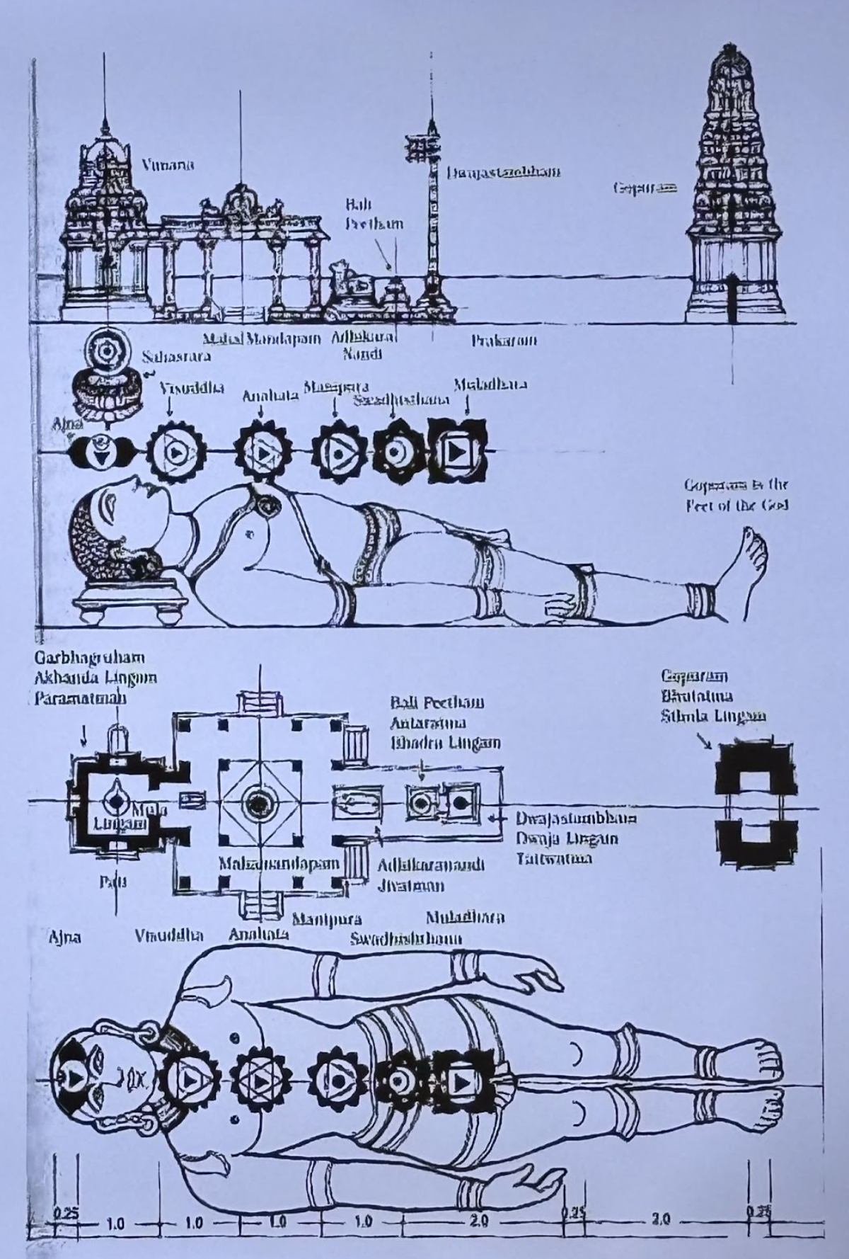 Sacred Geometry in Indian Temple Design: Cosmology, Proportion, and Architectural Practice 19 Temple as Human body