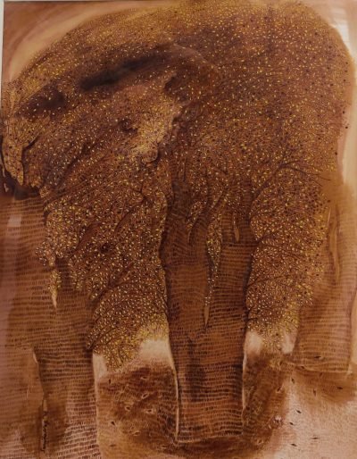 WhatsApp-Image-2023-04-05-at-2.14.19-PM